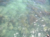 s_A_PICT0223_thumb.png